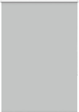 vidaXL - Rolgordijn - verduisterend - 110x175 - cm - stofbreedte - 105,7 - cm