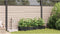 vidaXL - Tuinplanten - met - Water - Irrigatiesysteem - - - 4 - stuks - - - Zwart
