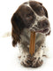 Whimzees Stix L - Kauwsnacks - Hond - 17,8cm - 6st