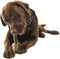Whimzees Tandenborstel Star L - Kauwsnacks - Hond - 14,5cm - 6st