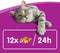 Whiskas Kattensnacks - Temptations Snoepjes - Kip en Kaas - 8x60g
