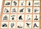 White Goblin Games - Codenames Pictures XXL - Gezelschapsspel