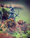 White Goblin Games Unmatched: Robin Hood vs Bigfoot - NL-uitgave