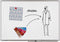 Whiteboard 90x120cm Magnetisch Lega Universal+