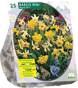 Narcis Mini Mix - 1 x 25 bloembollen