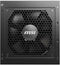 MSI MAG A750GL - Voeding 750W - 80 Plus Gold - Zwart