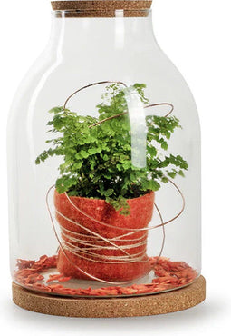 Terrarium met kurk 'sabine' h35 d25 cm