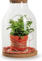 Terrarium met kurk 'sabine' h35 d25 cm
