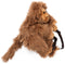 Wild & Soft Rugzak - Monkey
