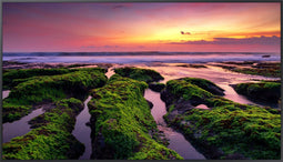 Monitor Videowall Samsung QB55B UHD 55"