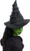 Wicked Elphaba - Met vlecht - Zingende Modepop