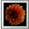 Schilderij Versa Bloem Kristal polyestyreen (2 x 60 x 40 cm)