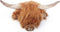Wild and Soft Dierenkop - Schotse Hooglander