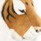 Wild and Soft Dierenkop - Tijger