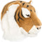 Wild and Soft Dierenkop - Tijger