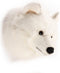 Wild and Soft Dierenkop - Witte Wolf