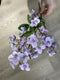 Wild rose spray purple 52cm