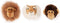 Wild&Soft Babykameraccessoires - Mini Dierenkoppen - Jungle
