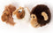 Wild&Soft Babykameraccessoires - Mini Dierenkoppen - Jungle