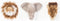 Wild&Soft Babykameraccessoires - Mini Dierenkoppen - Safari