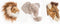 Wild&Soft Babykameraccessoires - Mini Dierenkoppen - Safari