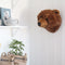 Wild & Soft - Trophy beer licht bruin Oliver - Dierenkop