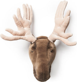 Wild & Soft - Trophy eland groot Alfred - Dierenkop