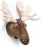 Wild & Soft - Trophy eland groot Alfred - Dierenkop