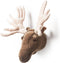 Wild & Soft - Trophy eland groot Alfred - Dierenkop