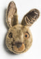 Wild & Soft - Trophy haas bruin Lewis - Dierenkop