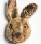 Wild & Soft - Trophy haas bruin Lewis - Dierenkop
