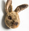 Wild & Soft - Trophy haas bruin Lewis - Dierenkop