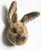 Wild & Soft - Trophy haas bruin Lewis - Dierenkop