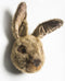 Wild & Soft - Trophy haas bruin Lewis - Dierenkop
