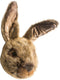Wild & Soft - Trophy haas bruin Lewis - Dierenkop