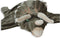 Wild & Soft - Vermomming en Tapijt dino