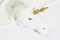 Wild & Soft - Vermomming en Tapijt eenhoorn