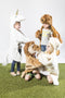 Wild & Soft - Vermomming en Tapijt tijger