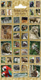 Wildlife Stickers