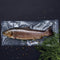 Wilfa Trout - Vacuümsealer