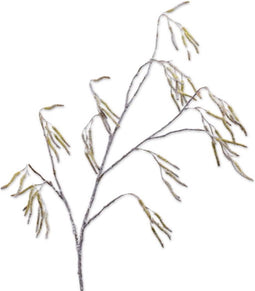 Wilgentak m/sneeuw l121 cm groen