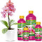 Wilma Orchidee voeding 1 ltr