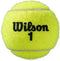 Wilson Roland Garros Tennisballen 3-ball Wrt126400 - Kleur Geel - Maat 1SIZE