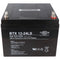 Wing BTX12-24LS 12V 24Ah high rate high current capable lead battery AGM lead gel battery