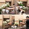 Witte Phalaenopsis orchidee potmaat - Jewel Ghent - potmaat Ø12cm -