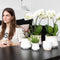 Witte Phalaenopsis orchidee potmaat - Jewel Ghent - potmaat Ø12cm -