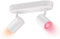 WiZ Opbouwspot Imageo Wit 2 spots - Slimme LED-Verlichting - Gekleurd en Wit Licht - GU10 - 2x 5W - Wi-Fi