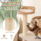 Coast - Kattenboom 104 cm - Krabpaal met Zitstaaf en Mand - Beige