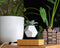 LYFE Planter 1.1 Zwevende Bloempot - Eiken / Wit