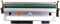 Canon CLI-42BK - Inktcartridge - 14 ml - Rood
